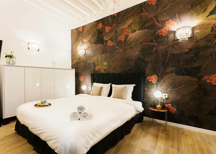Apartamento Chatelet - Louvre *