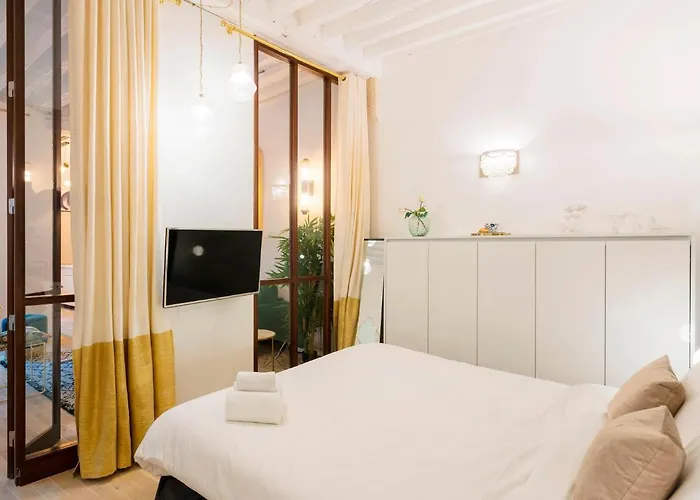 Apartamento Chatelet - Louvre Paris